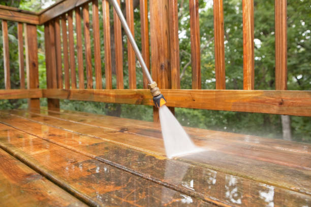Solar Panel Cleaning in Melwood, MD